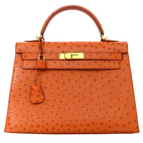 hermes store walls orange ostrich|ostrich bags for sale.